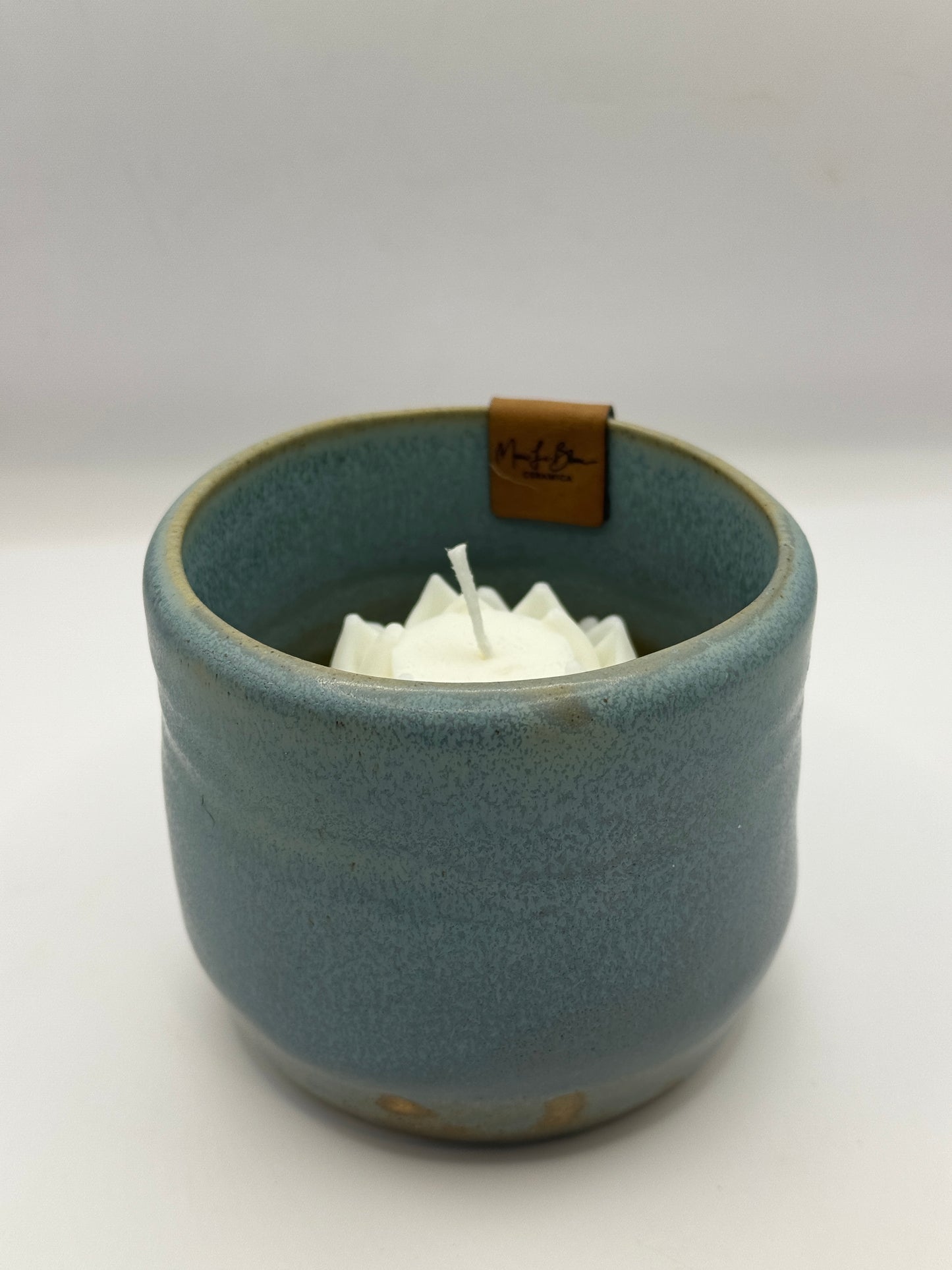Bowl azul con flor de suculenta