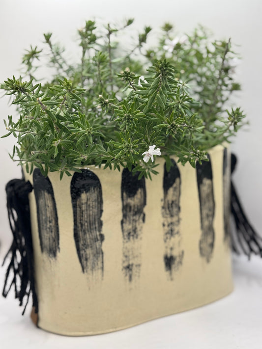 Florero rayado con musgo